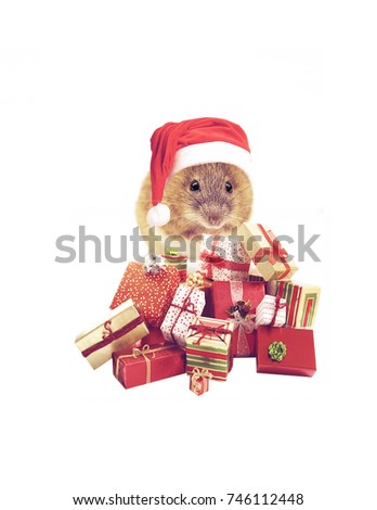 little mouse in santa claus hat with christmas packages