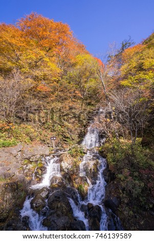 autumn leaves and waterfall of Nikko city, Tochigi prefecture.
Word on signboard reads White Waterfall