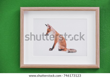 Picture of cute fox on color wall