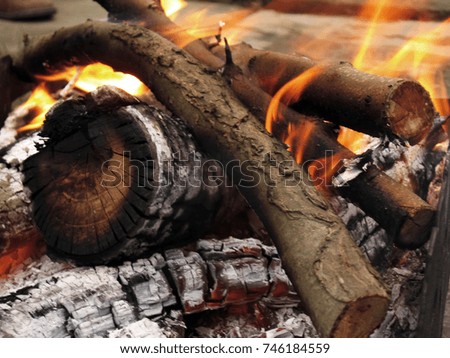 Wooden firewood on fire