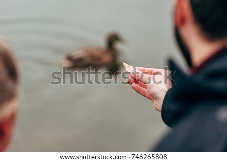 cropped shot of man standing near lake and feeding duck