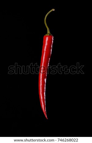 Red Hot Chili isolated on Black Background