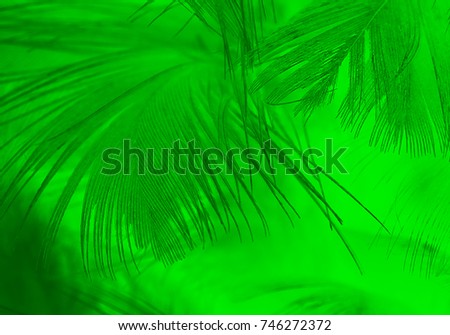 Beautiful green chartreuse vintage color trends feather pattern texture background 
