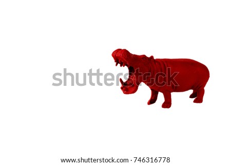 Hippopotamus model concept toy on white background.