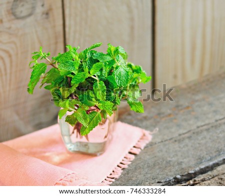 Mint in a clear glass jar placed on a wooden floor.