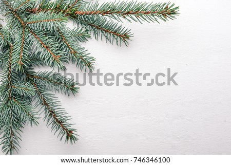 Branch of Christmas trees. On a wooden background. Top view. Free space for your text.