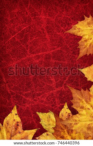 Dry Maple Leaves Border On Dark Red Wizened Cowhide Background