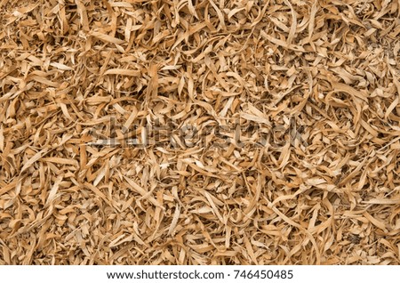 Background of  orange wood chips in sunny day
