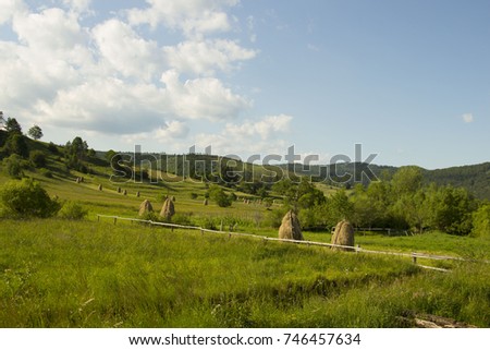 Field. Carpathians. Copy of the hay