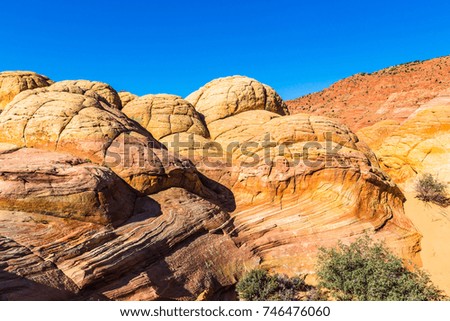 Hills of striped sandstone of different color and rounded shape, The Wave, Coyote Buttes North, Arizona, USA 