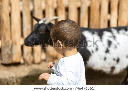 A little baby plays with a goat