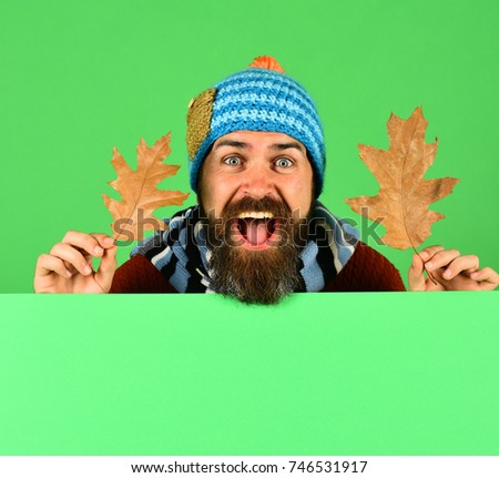 Hipster with beard and cheerful face wears warm clothes. Autumn and cold weather concept. October and November time idea. Man in warm hat holds oak tree leaves on green background, copy space