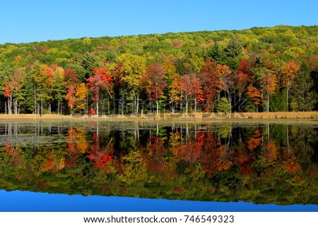 Landscape picture of autumn multicolored trees reflecting in water, shot in Stockbridge, Massachusetts, USA