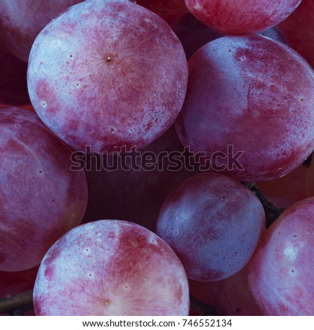 Blue and purple grapes macro view or grass close up