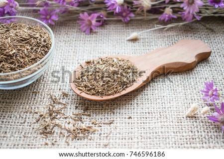 Dried Valerian roots in wooden spoon on sackcloth background. Valeriana officinalis, Caprifoliaceae in herbal medicine. Valerian Root for Anxiety and Sleep as nutritional supplement for health Royalty-Free Stock Photo #746596186