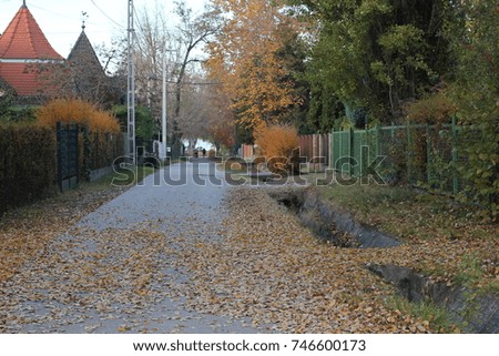 autumn, Balaton