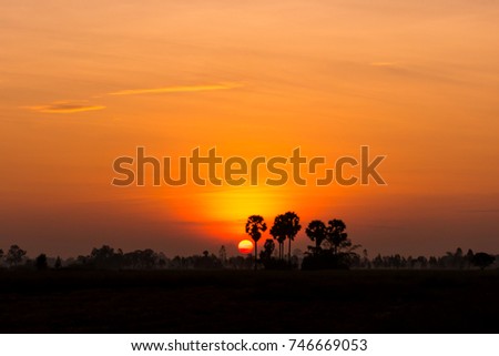 Natural Sunset Sunrise Over Field Or Meadow. Bright Dramatic Sky And Dark Ground. Countryside Landscape Under Scenic Colorful Sky. Sun Over Skyline  Horizon. Warm Colours.