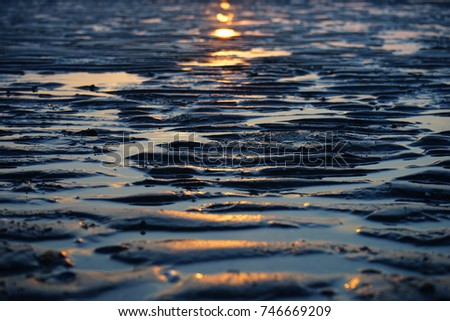 A picture of the tidal flats at sunset