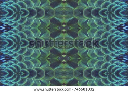 Peacock feathers abstract background (Green peafowl)