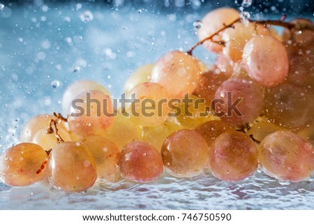      grapes in drops and splashes of falling water. Shallow depth of field