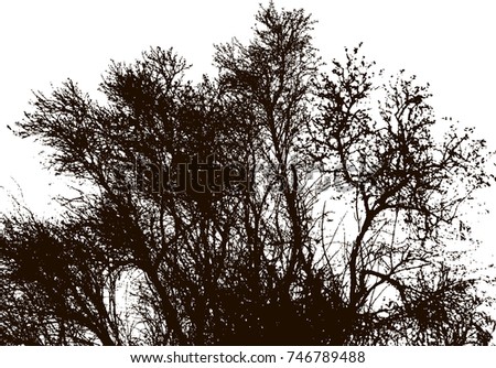 Tree silhouettes. White and black background.