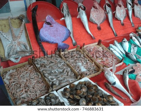 Beautiful and appetizing picture: sea delicacies in the window of the fish store