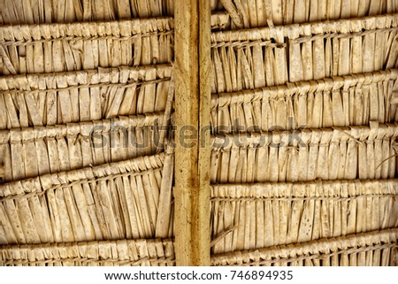 Wall abstract textured background of wicker palm leaves