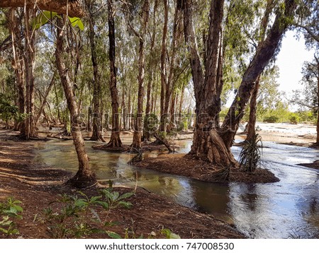 A creek that is flooded during the wet season, Northern Territory Australia