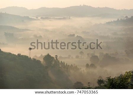A landscape view of the morning mist  in Thailand at the side of a mountain.