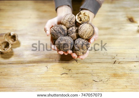 Boy holds big walnuts. Healthy food and snack