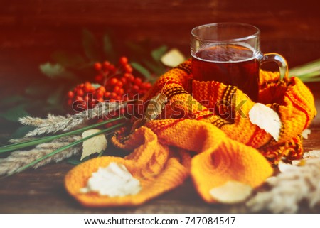 a Cup of tea, autumn leaves and a bright scarf. Autumn background, concept on the subject of comfort and warmth.