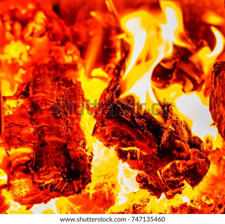 Burning firewood in the stove. Bright Background with firewood and fire