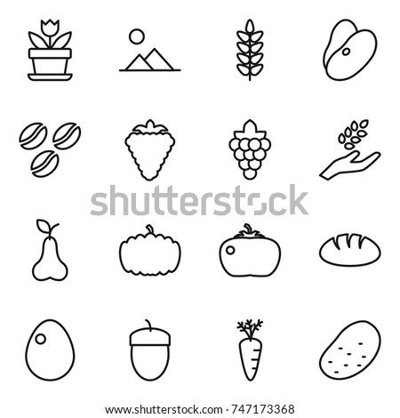 thin line icon set : flower, landscape, spikelets, beans, coffee seeds, berry, grape, harvest, pear, pumpkin, tomato, bread, egg, acorn, carrot, potato