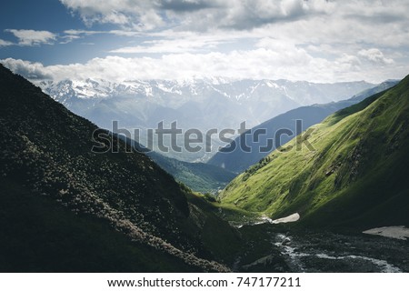 Alpine meadows with flowers at the foot of Ushba. Location Upper Svaneti, Georgia country, Europe. Main Caucasian ridge. Scenic image of lifestyle hiking concept. Explore the beauty of earth.