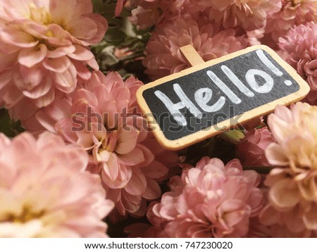hello chalkboard with pink chrysanthemum texture. pink flowers for morning. instagram flower morning.