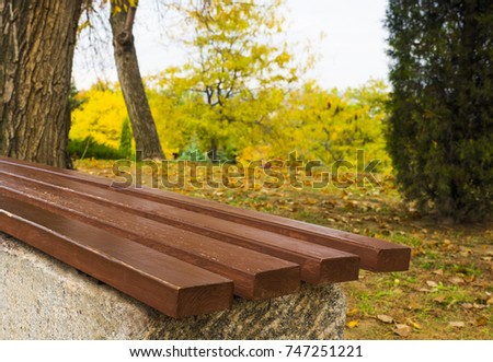 bench autumnal background. Forest park bench
