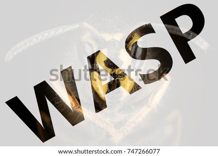 The head of a wasp with his name in the picture