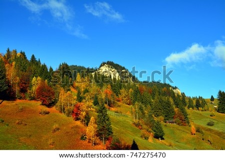 autumn landscape with wilted trees