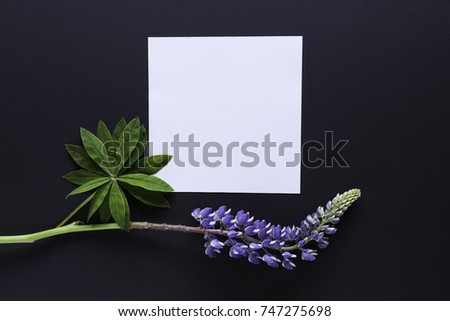 Artistic mockup for your artwork with beautiful lupine flowers and leaves and empty card shot from the top. Flat lay minimalistic composition.