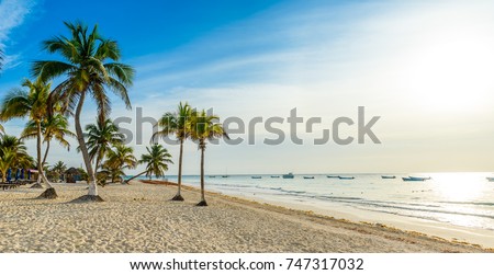 Paradise Beach also called Playa Paraiso at sunrise - beautiful and tropical caribbean coast at Tulum in Quintana Roo, Riviera Maya, Mexico Royalty-Free Stock Photo #747317032