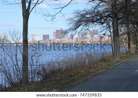 Outside outdoors photography portrait picture view of a pavement urban street with white lines painted on the floor with trees the ocean sea lake river and a urban city skyline landscape background