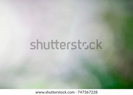 Nature blurred light abstract background / Natural outdoors bokeh background, Blurred forest background
