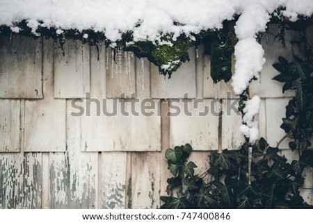 Old Distressed White Shed Wall with Snow and Ice and Moss and Ivy