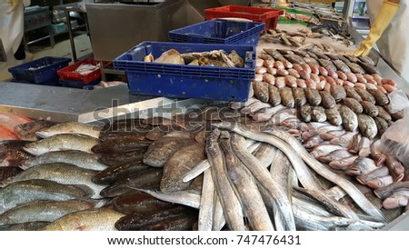 sea fish such as Giant sea perch, Grouper, Do rab wolf herring and Fresh water fish such as Large scale tongue sole, striped snake-head, nile-tilapia, ruby fish and whisker sheat fish in market.