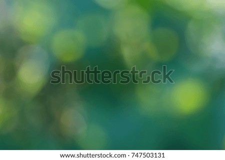 background colorful bokeh out of focus the forest/intend to blurred photo