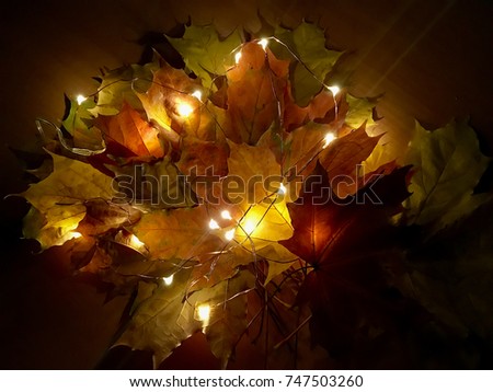 beautiful orange, yellow and red autumn leaves in the lights of a garland