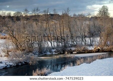 Forest tree branch with white snow and frost at coast of river water ice in sunny cold winter day light 