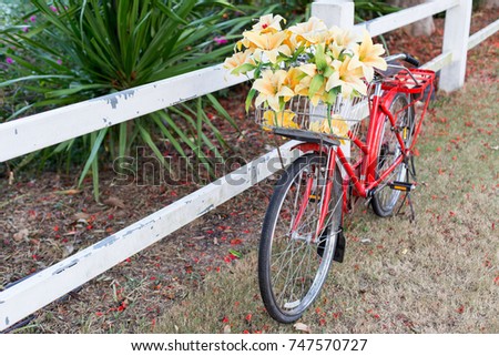 Bicycle in the garden.