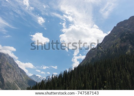 Wonderful mountains landscape (forest, sky, clouds)