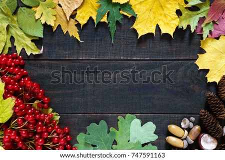 Autumn background. Juicy red berries of a viburnum, dry leaves, acorns, cones, chestnuts, on a dark wooden background. Space for inscriptions.